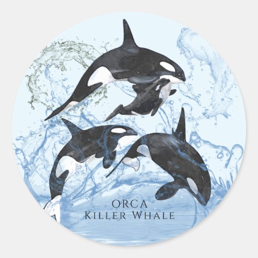 驚くべき白黒の水色のOrcas ラウンドシール (正面)