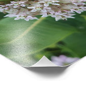 驚くべき色 フォトプリント            (角)