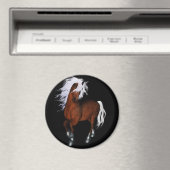 驚くべき馬 マグネット (インサイチュ (食洗機))