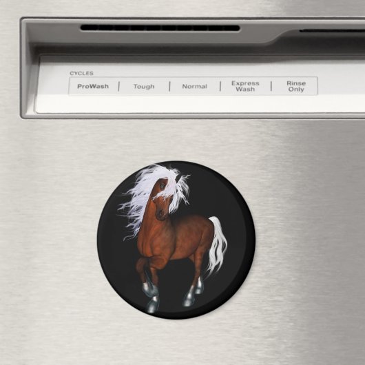 驚くべき馬 マグネット (インサイチュ (食洗機))
