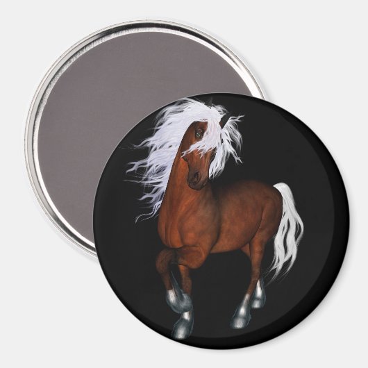 驚くべき馬 マグネット (正面/裏面)