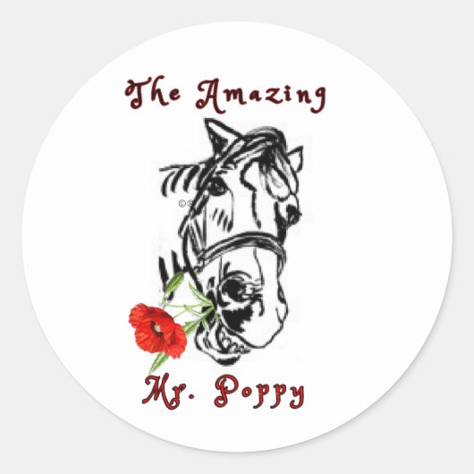 驚くべきMRポピー ラウンドシール (正面)