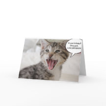 驚すごいいた誕生日子猫！