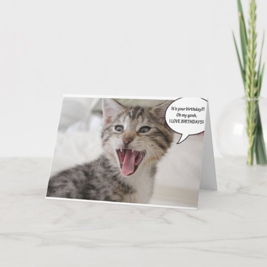 驚すごいいた誕生日子猫! カード (正面)