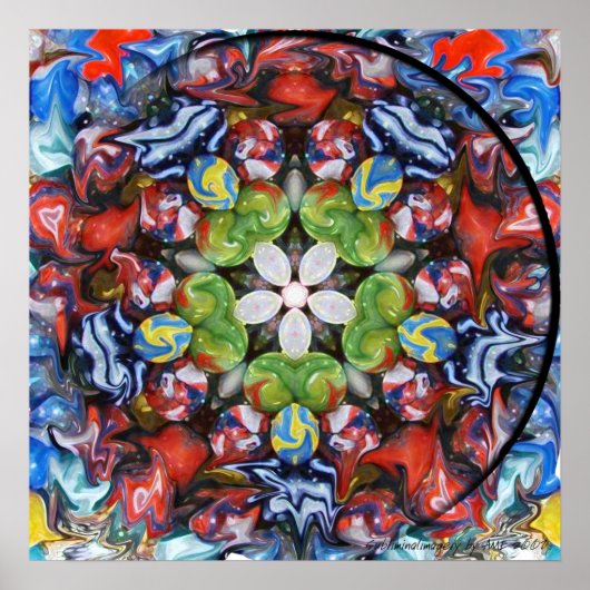 驚嘆の狂気 ポスター (正面)