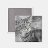 驚異の州 マグネット (正面/裏面)