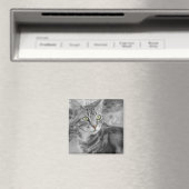 驚異の州 マグネット (インサイチュ (食洗機))