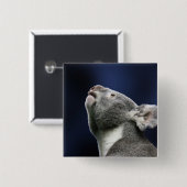 驚異を調べているかわいいコアラ 缶バッジ (正面&裏面)