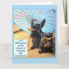 驚素晴らしき カード