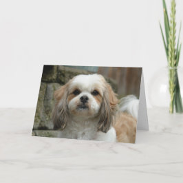 "骨から"ペットユーモアの挨拶状 カード