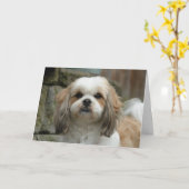 "骨から"ペットユーモアの挨拶状 カード (黄色い花)