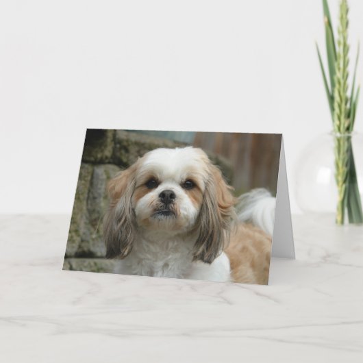 "骨から"ペットユーモアの挨拶状 カード (正面)