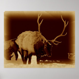 骨が2つ悪い ポスター