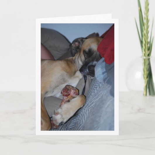 骨と一緒に寝る犬 カード (正面)
