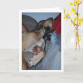 骨と一緒に寝る犬 カード (黄色い花)