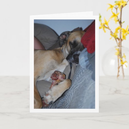 骨と一緒に寝る犬 カード (黄色い花)