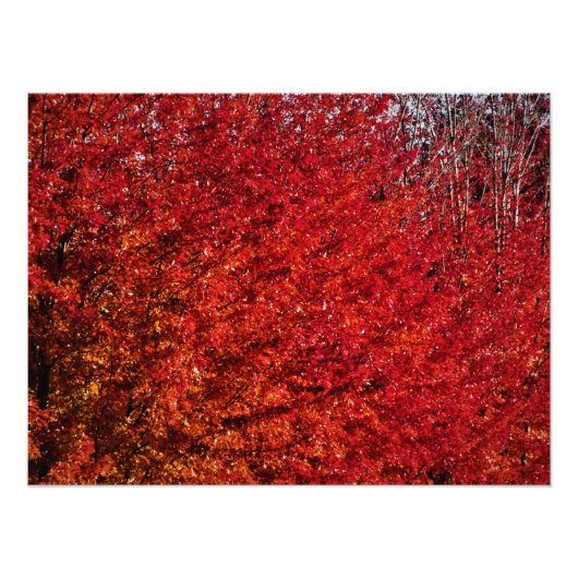 『骨と肉』 フォトプリント            (正面)