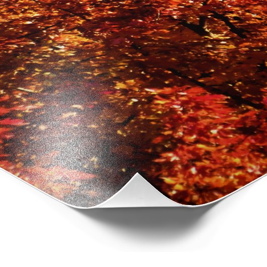 『骨と肉』 フォトプリント            (角)