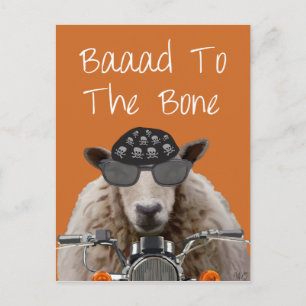 骨にロード2 ポストカード