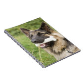 骨のある犬 ノートブック (右側)