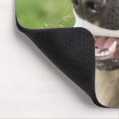 骨のある犬 マウスパッド (コーナー)