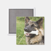 骨のある犬 マグネット (正面/裏面)