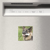 骨のある犬 マグネット (インサイチュ (食洗機))
