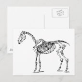骨のある馬 ポストカード (正面/裏面)