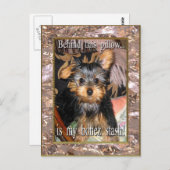 骨のスタッシュヨークシャーテリア ポストカード (正面/裏面)