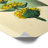 骨の解剖学医術プリント ポスター (角)