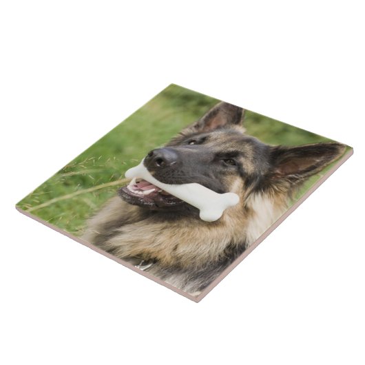 骨を搭載する犬 タイル (側面)