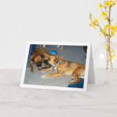 骨付きの犬 カード (黄色い花)