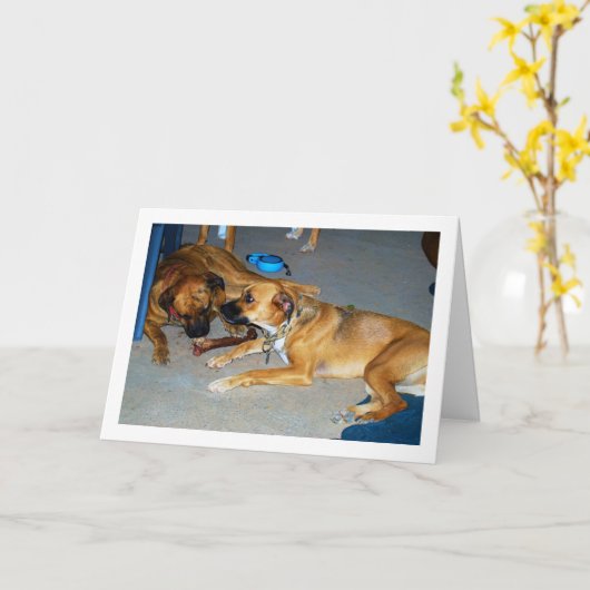 骨付きの犬 カード (黄色い花)