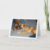 骨付きの犬 カード (正面)