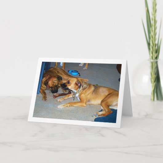 骨付きの犬 カード (正面)