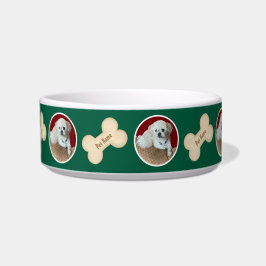 骨付きマルシープレート 緑のペットボウル ボウル