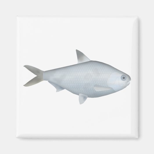 骨性ブレム マグネット (正面)