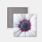 骨拍動磁石 マグネット (正面/裏面)