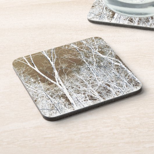 骨格林 コースター (左側)