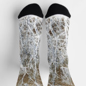 骨格林 ソックス (上部)