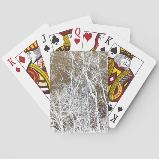 骨格林 トランプ (裏面)