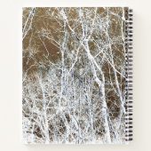 骨格林 ノートブック (裏面)