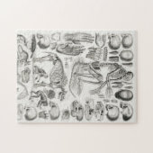 骨格死哺乳綱 ジグソーパズル (横)