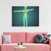 骨格系を示すヒト体、動脈2 キャンバスプリント (インサイチュ (リビング))