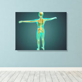 骨格系を示すヒト体、動脈2 キャンバスプリント (インサイチュ (ウッドフロア))