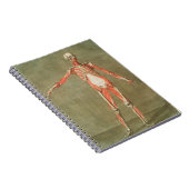 骨格解剖ボーン体墓筋解剖I ノートブック (右側)