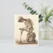 骨格 ポストカード (スタンド正面)