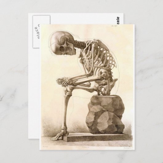 骨格 ポストカード (正面/裏面)