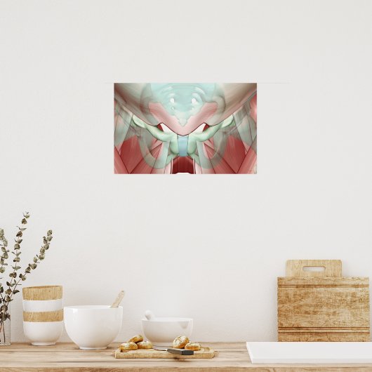 骨盤筋骨格2 ポスター (キッチン)