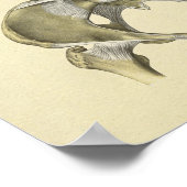 骨盤腰関節解剖学ボーンプリント ポスター (角)